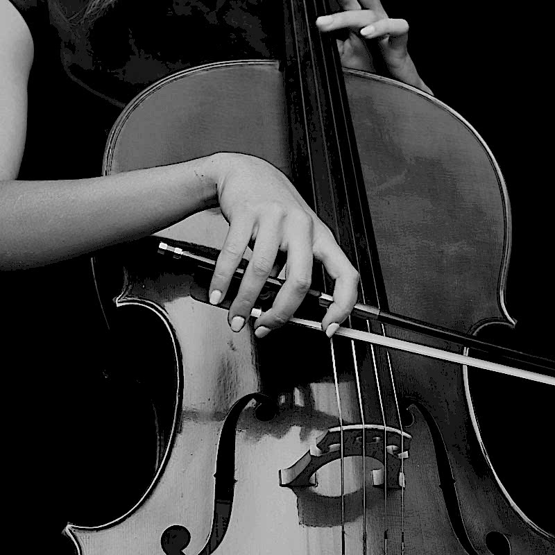 https://moraxiveluntra.shop/wp-content/uploads/2020/07/cello_background.jpg